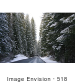#518 Photograph Of A Winter Road And Trees In Rogue River National Forest
