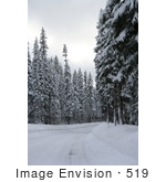 #519 Image Of An Icy Road In Rogue River National Forest