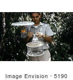#5190 Picture Of A Field Researcher Detaching A Collection Bag From A Light Trap Full Of Mosquitoes