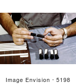 #5198 Picture Of A Field Researcher Placing Stoppers In Tubes Filled With Mosquitoes That Will Be Used For Arbovirus Studies