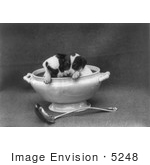 #5248 Puppies In A Soup Tureen