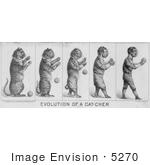 #5270 Evolution Of A Cat-Cher