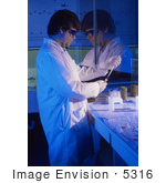 #5316 Stock Photography Of A Picture Of A Laboratory Worker Pipetting Specimens During A Lab Experiment