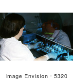 #5320 Stock Photography Of A Lab Technician Marking Specimens During A Chicken Egg Inoculation Experiment