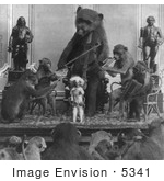 #5341 Monkeys and Bear Playing Instruments by JVPD