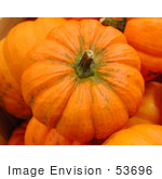 #53696 Royalty-Free Stock Photo Of Little Pumpkin