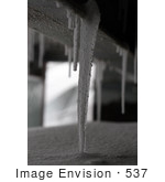 #537 Picture Of A Frozen Winter Icicle
