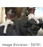 #53751 Royalty-Free Stock Photo Of An Eagle&Rsquo;S Talons On A Glove