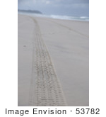 #53782 Royalty-Free Stock Photo of Tracks on a Beach by Maria Bell