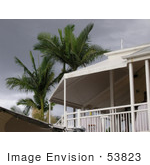 #53823 Royalty-Free Stock Photo Of Palm Trees And A Storm Over A House