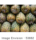 #53882 Royalty-Free Stock Photo Of A Pineapples