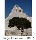 #53887 Royalty-Free Stock Photo Of An Olive Tree By A Church