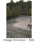 #546 Picture Of The Southwestern Oregon Rogue River