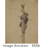 #5556 Repairing A Telegraph Line