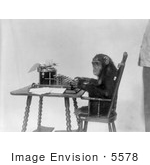 #5578 Chimpanzee Using Typewriter by JVPD