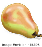 #56508 Royalty-Free (Rf) Clip Art Illustration Of A Ripe Orange And Yellow Pear With A Stem