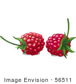 #56511 Royalty-Free (Rf) Clip Art Illustration Of Two Ripe Red Raspberries With Stems