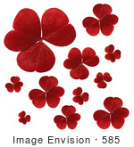 #585 Picture Of Red Clover Leaves