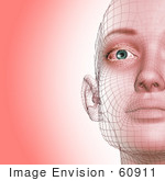#60911 Royalty-Free (Rf) Illustration Of A Half Of A Futuristic Wire Frame Female Head Diagram Facing Front - Version 2