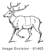 #61465 Clipart Of A Vintage Black And White Deer With Butcher Sections Of Venison Cuts - Royalty Free Vector Illustration