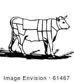 #61467 Vintage Clipart Of A Black And White Cow With Butcher Sections Of Bullock - Royalty Free Vector Illustration