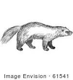 #61541 Clipart Of A Wolverine In Black And White - Royalty Free Vector Illustration
