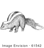 #61542 Clipart Of A Sniffing Skunk In Black And White - Royalty Free Vector Illustration by JVPD