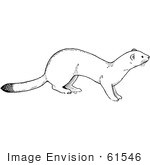 #61546 Clipart Of A White Weasel In Black And White - Royalty Free Vector Illustration