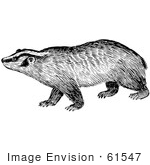 #61547 Clipart Of A Badger In Black And White - Royalty Free Vector Illustration