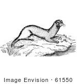 #61550 Clipart Of An Otter On A River Rock In Black And White - Royalty Free Vector Illustration