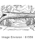 #61559 Clipart Of A Log Over A River With Mink Traps On The Shore In Black And White - Royalty Free Vector Illustration
