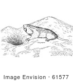 #61577 Clipart Of A Pocket Gopher Outside A Den In Black And White - Royalty Free Vector Illustration