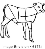 #61731 Clipart Of A Lamb Showing Cuts Of Veal In Black And White - Royalty Free Vector Illustration