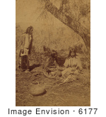 #6177 Three Ute Natives