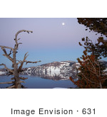#631 Photograph Of Trees Framing A Full Moon Over Crater Lake