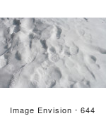 #644 Photo Of Footprints In Snow