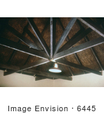 #6445 Picture Of A Ceiling Of A Rondaval During A 1975 South African Marburg Virus Investigation