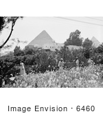#6460 Pyramids From Mena House