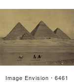 #6461 Camel Riders Near Pyramids