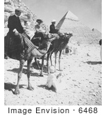 #6468 Men And Camels By The Pyramids