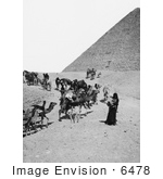 #6478 Caravan of Bedouins Leaving the Egyptian Pyramids by JVPD