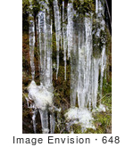 #648 Photo Of Icicles On A Mossy Hillside