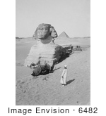 #6482 Egyptian Pyramids and Great Sphinx, Egypt by JVPD