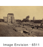 #6511 Avenue Of Sphinxes At Karnak