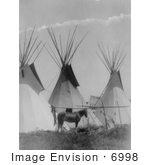 #6998 Horse Near Three Tipis Crow Agency Montana