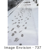 #737 Photo Of Footprints In Snow On A Sidewalk