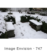 #747 Photo Of Two Benches And A Birdbath Covered In Snow