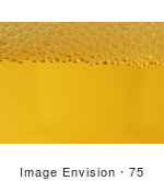 #75 Picture Of Beer With Bubbles