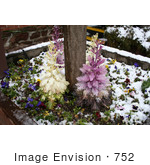 #752 Photograph Of A Flower Bed In Snow
