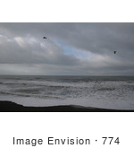 #774 Picture Of Brookings Oregon Coast With Seagulls